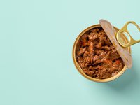 Homemade Cat Food 101: Nutritional Needs and DIY Recipes